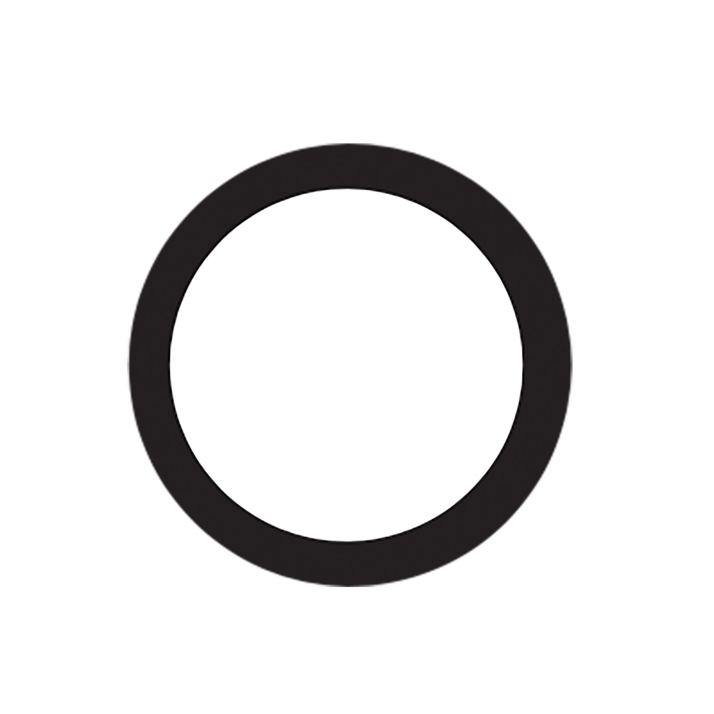 Kavo O-Ring 2,5 x 1 - 0.200.6019