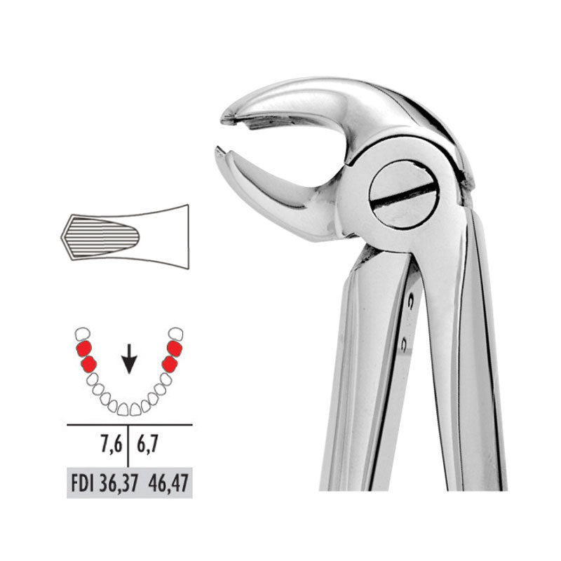 Forceps - Autoclavable 22 Lower Molars (Hawk’s Bill)