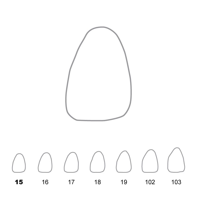 Temporary Crowns Upper Central Incisors Left 15