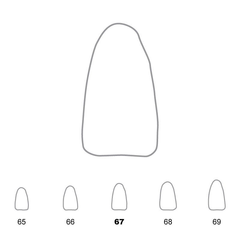 Temporary Crowns Lower Incisors 67