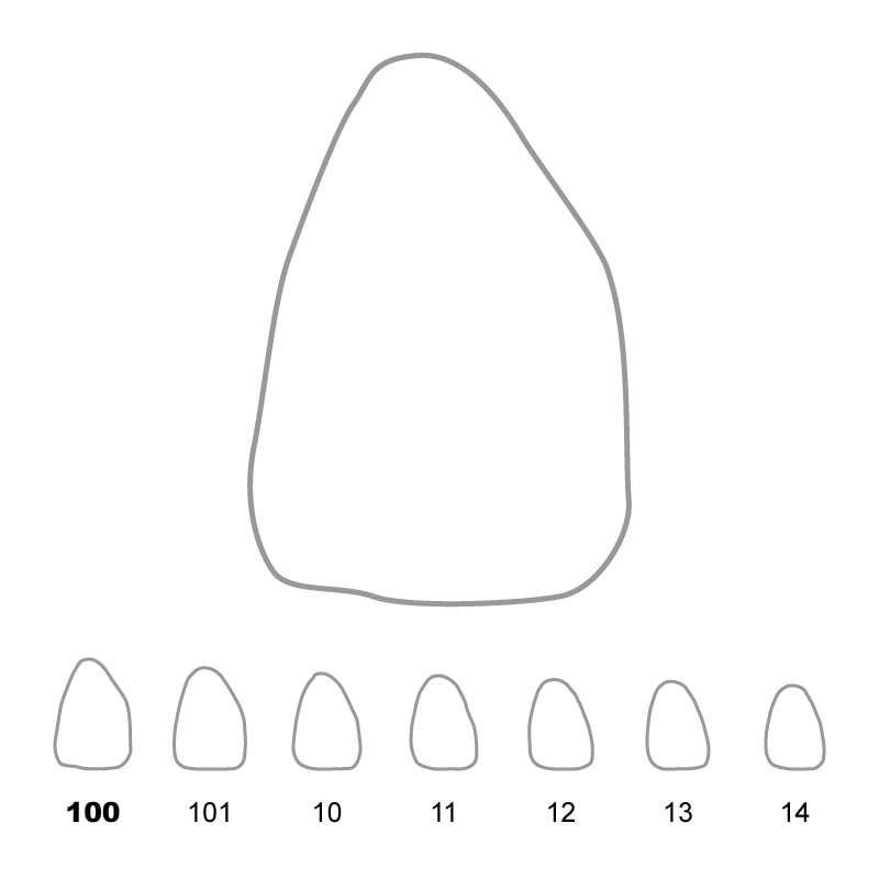 Temporary Crowns Upper Central Incisors Right 100
