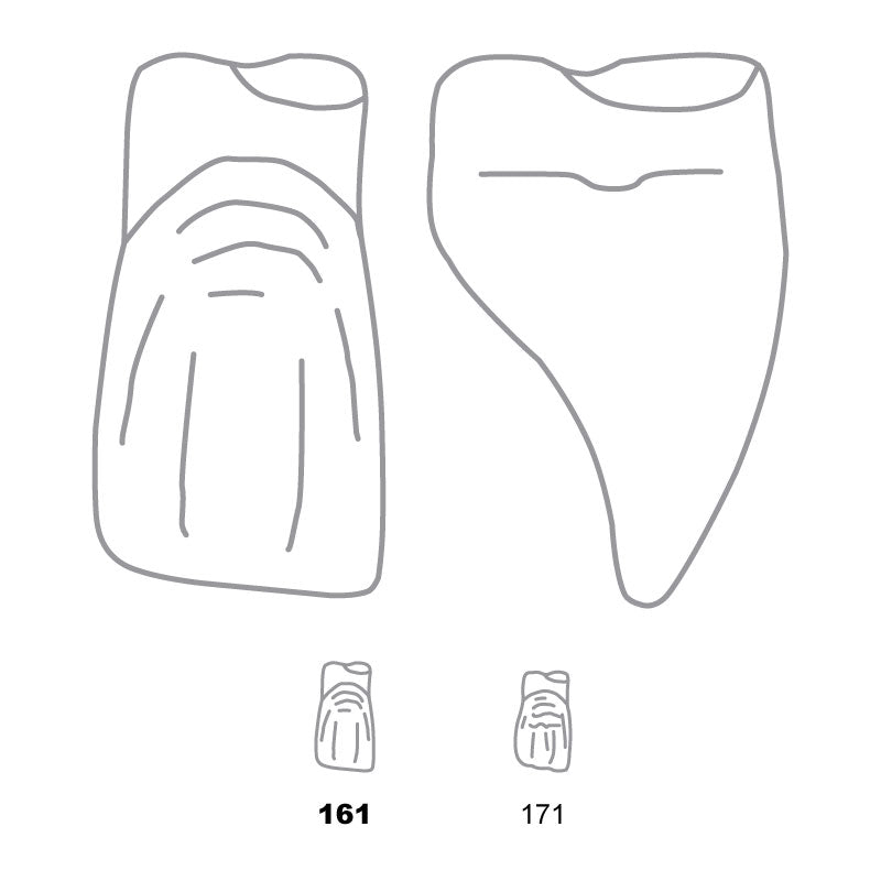 Odus Pella Transparent Crown Forms Extra Large Centrals 161