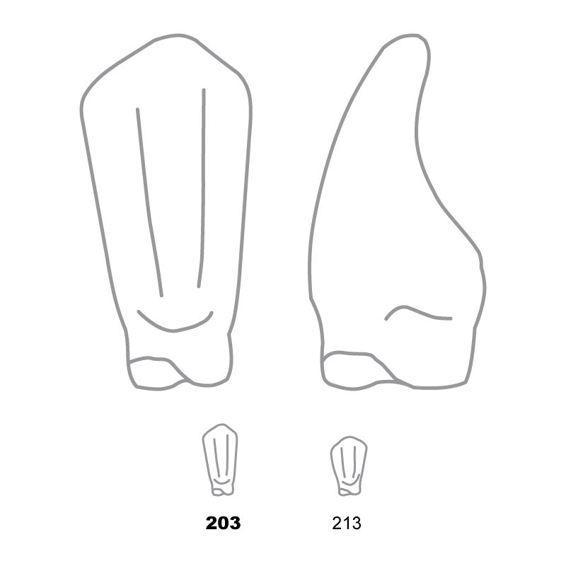 Odus Pella Transparent Crown Forms Lower Canines 203