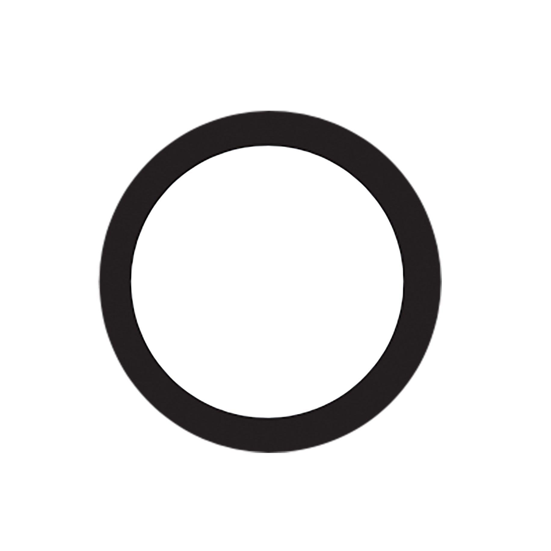 Kavo O-Ring 2,5 x 1 - 0.200.6019