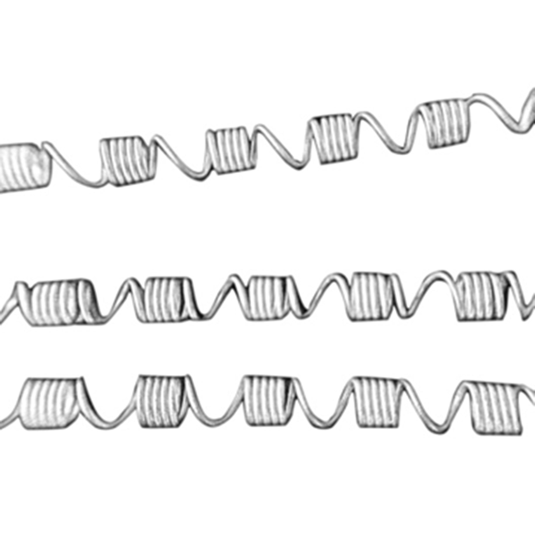 Open Coil NiTi Spring ST 010x030 Light
