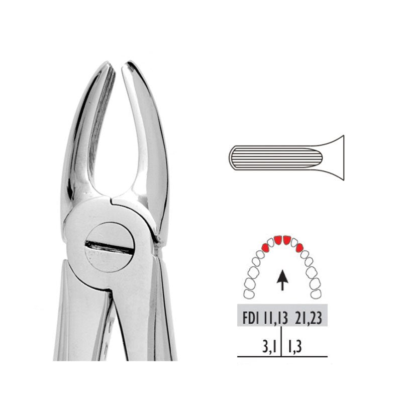 Forceps - Autoclavable 1 Upper Centrals & Canines