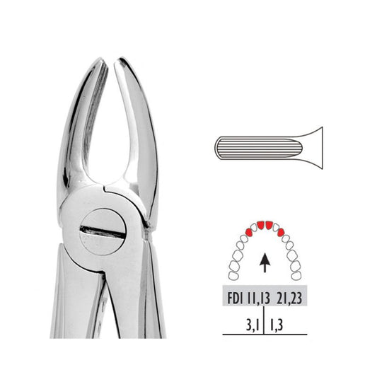 Forceps - Autoclavable 1 Upper Centrals & Canines