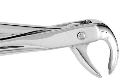 Forceps Premier Range - Autoclavable 73 Lower Molars (Hawk‚Äôs Bill)