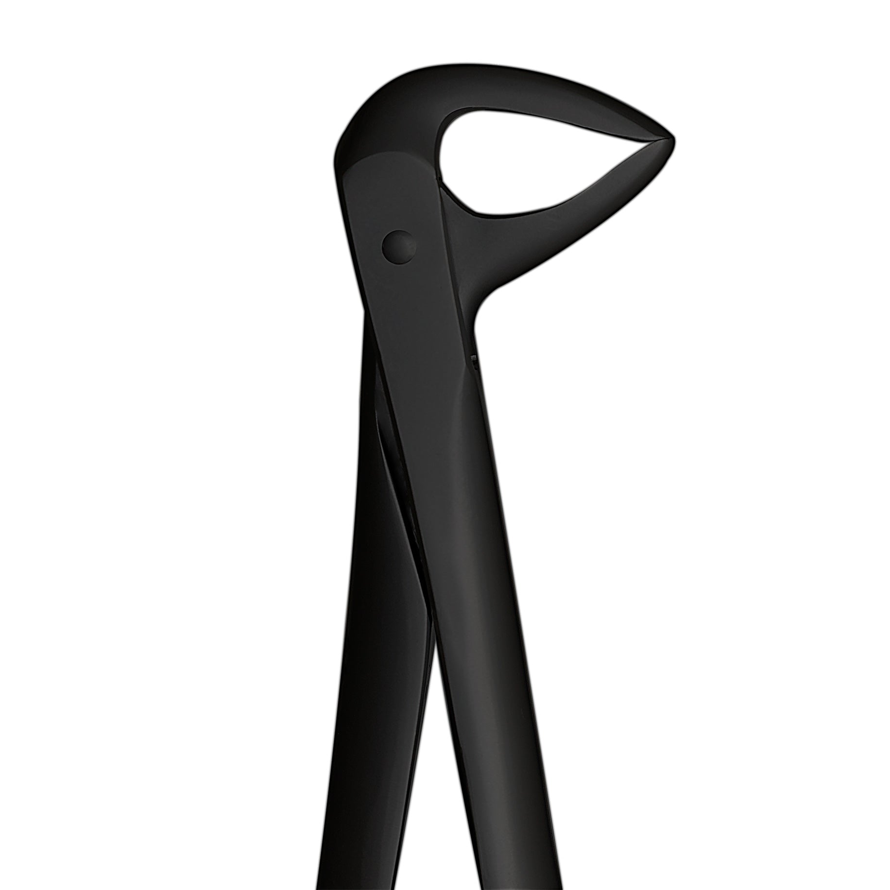 Extraction Forceps No. 137 Lower Centrals & Roots (Nano Coating Black)
