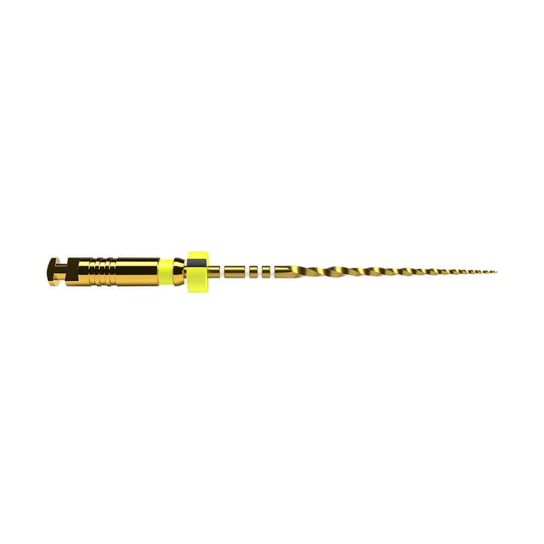 ProTaper Ultimate File F1 21mm