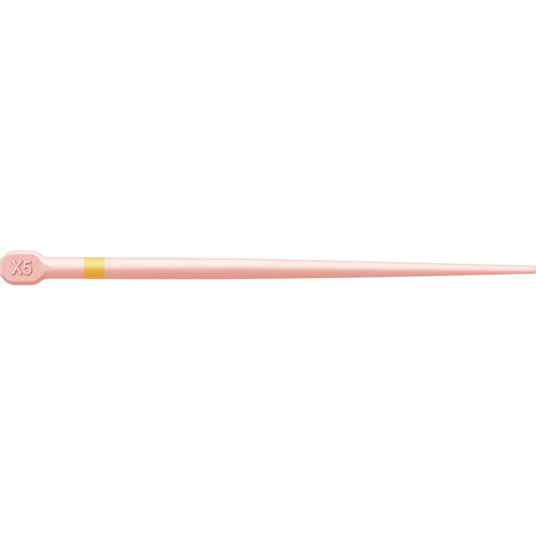 Conform Fit Gutta-Percha Points for ProTaper Next Assorted X4/X5