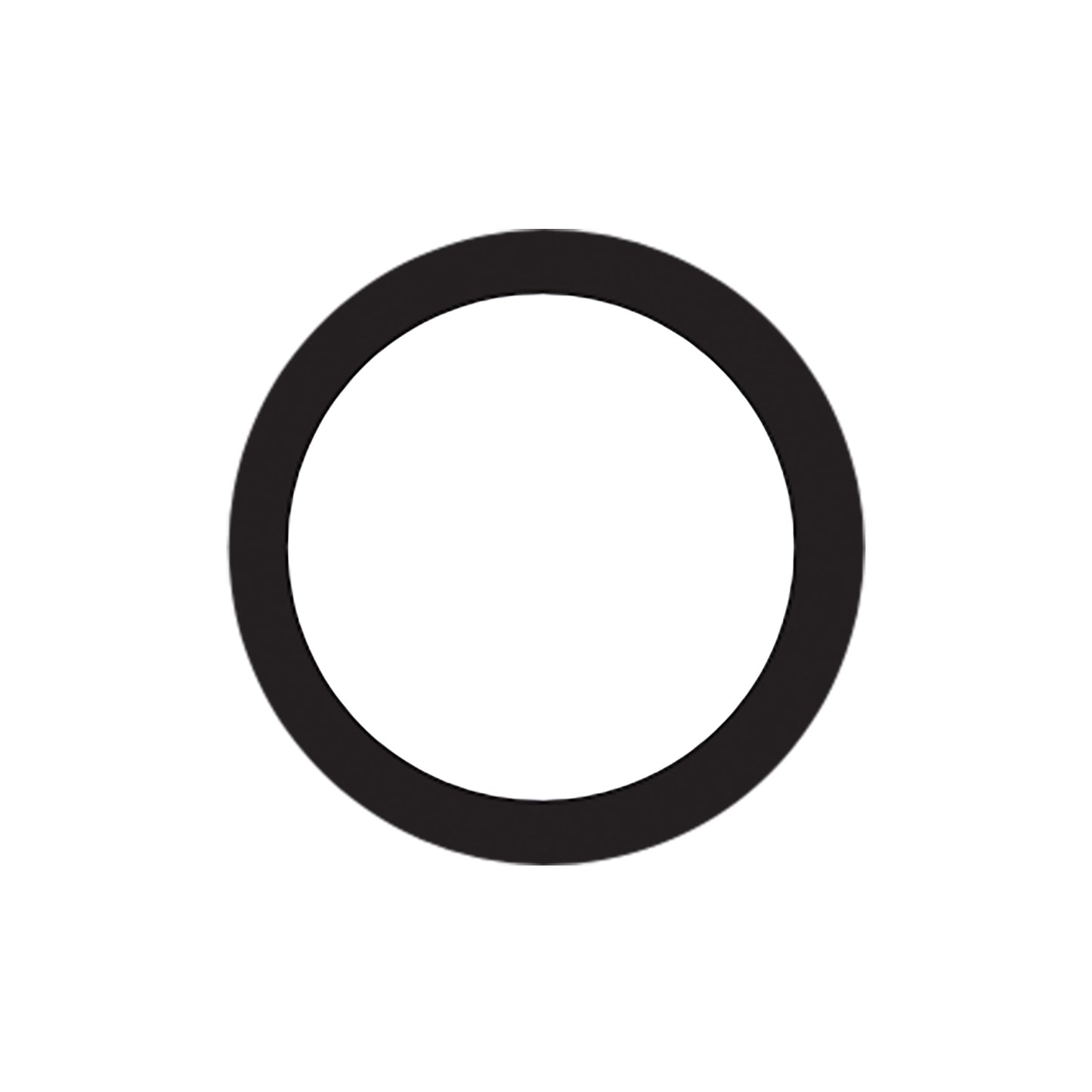 'O' Ring for the Cavitron Jet Plus