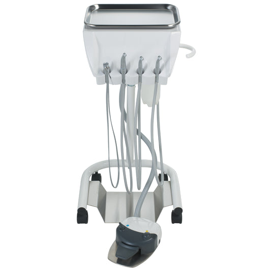 Voyager Mobile Cart Delivery System