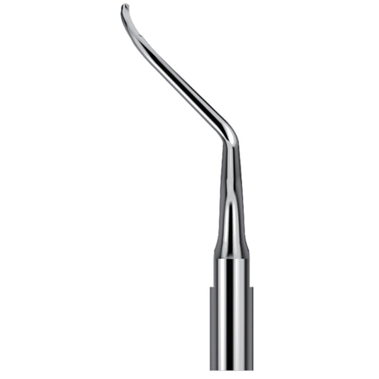 Scaling Tips S-Type Endo Tip AH4L