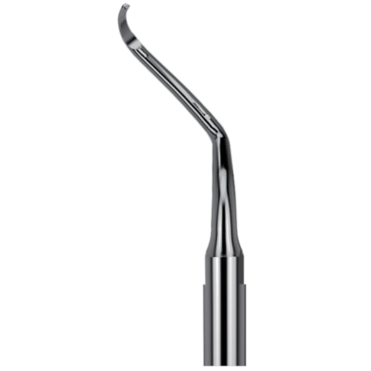 Scaling Tips S-Type Endo Tip AH4R