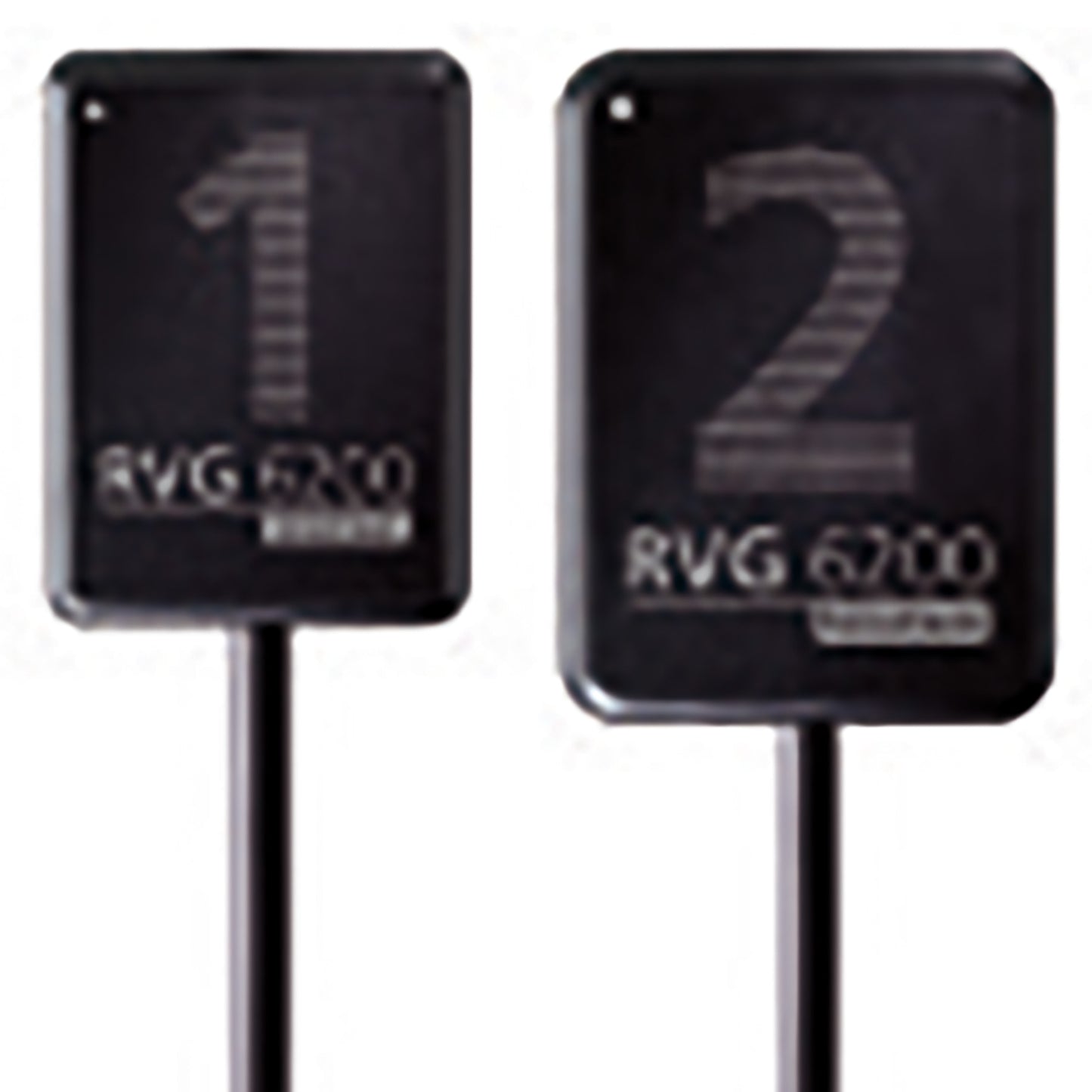 CS RVG 6200 Sensor Size 2