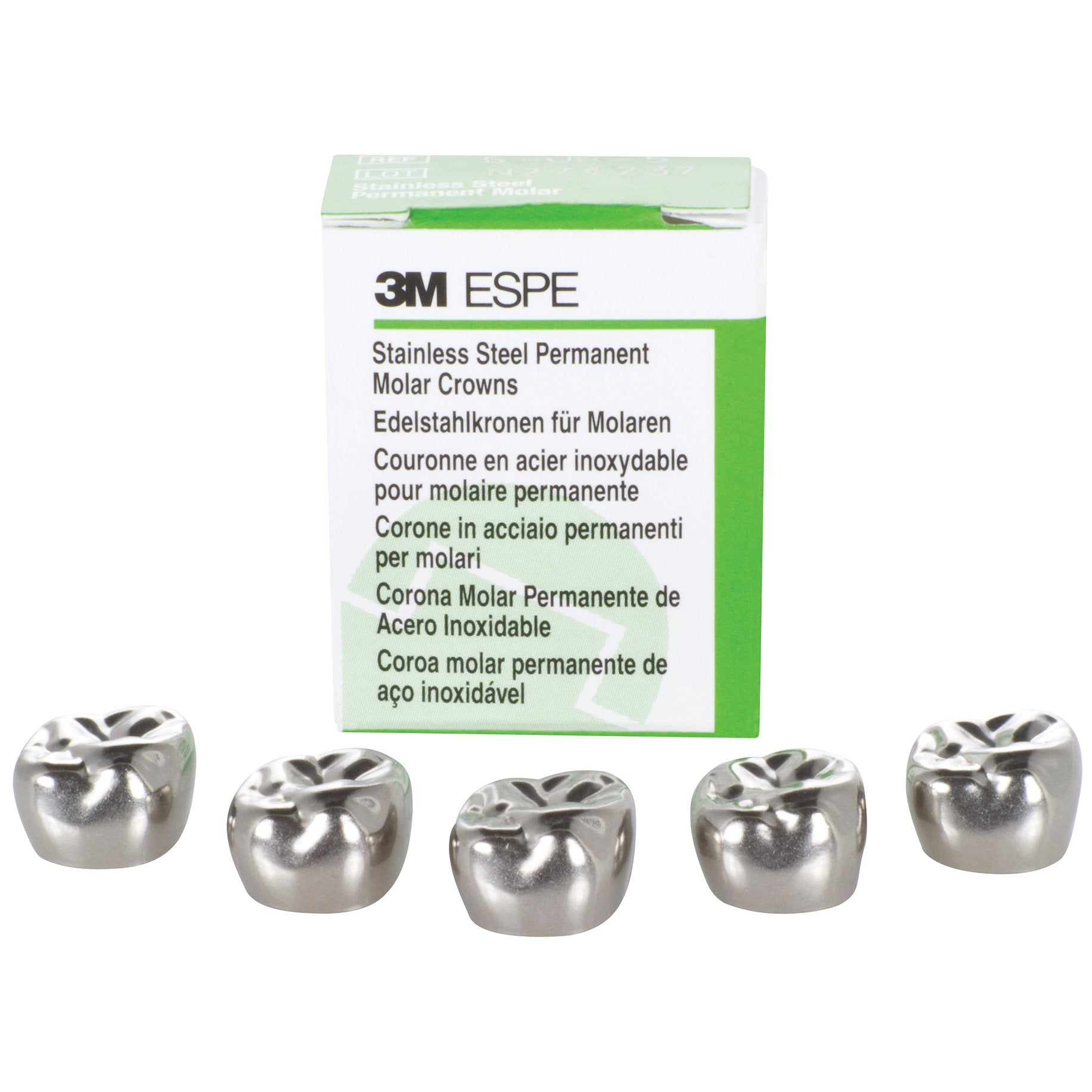 Stainless Steel Crowns Permanent Molar Lowers ‚Äö√Ñ√¨ Right 6-LR-6
