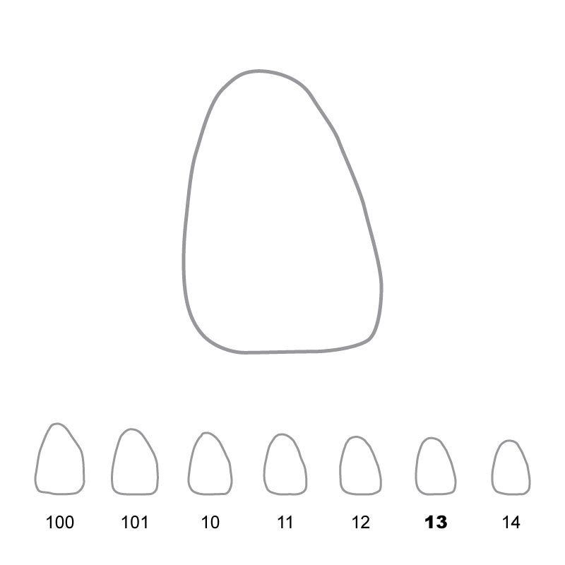 Temporary Crowns Upper Central Incisors Right 13