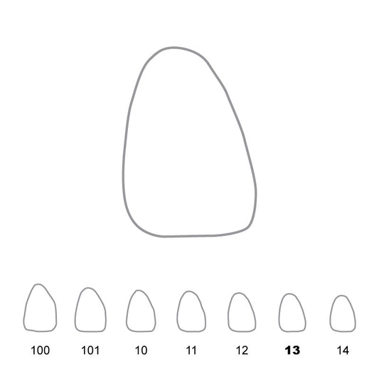 Temporary Crowns Upper Central Incisors Right 13
