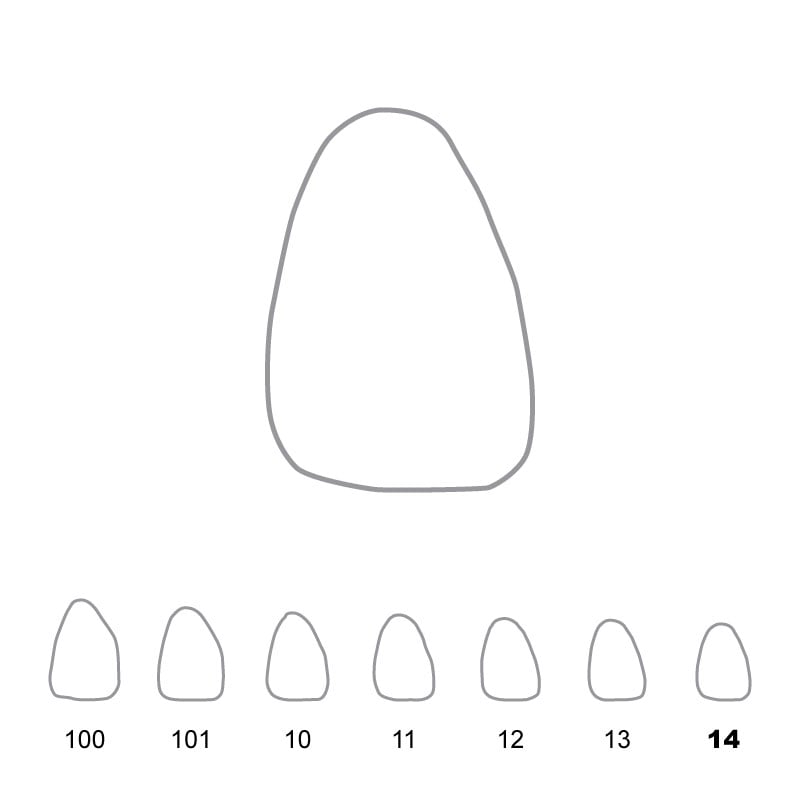 Temporary Crowns Upper Central Incisors Right 14