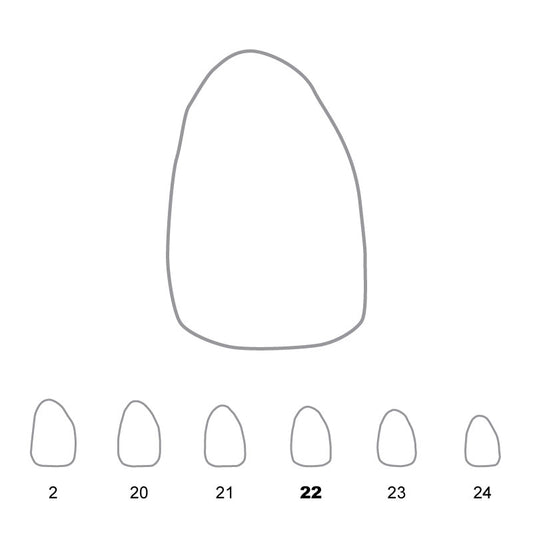 Temporary Crowns Upper Lateral Incisors Right 22