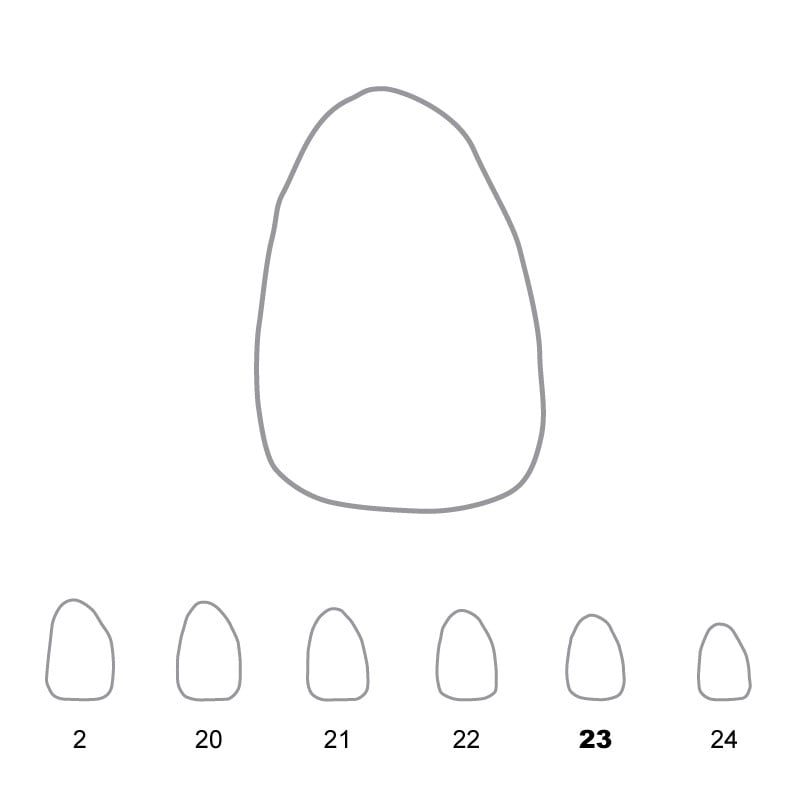 Temporary Crowns Upper Lateral Incisors Right 23