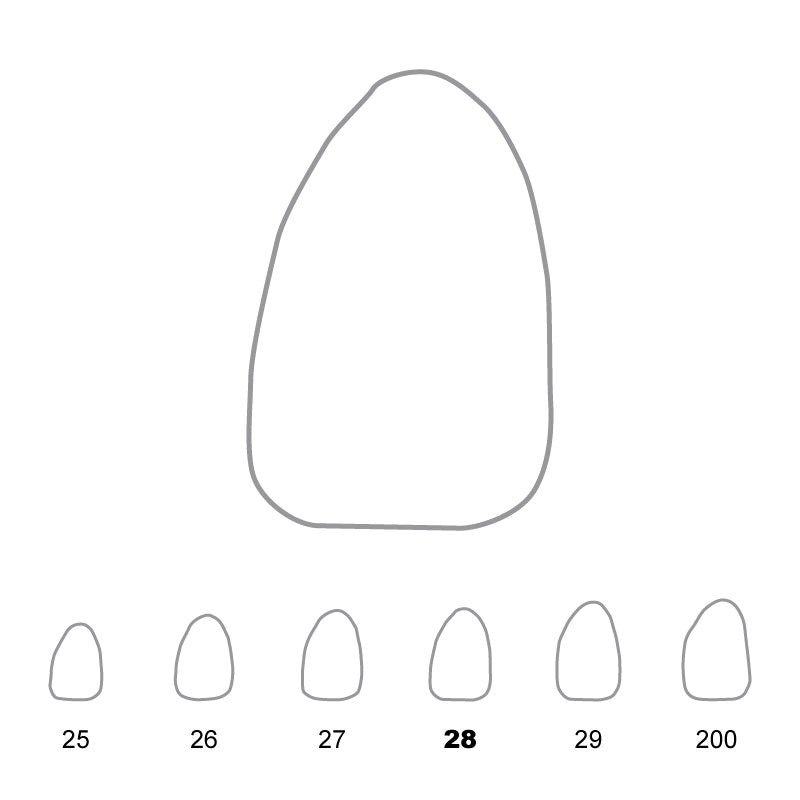 Temporary Crowns Upper Lateral Incisors Left 28