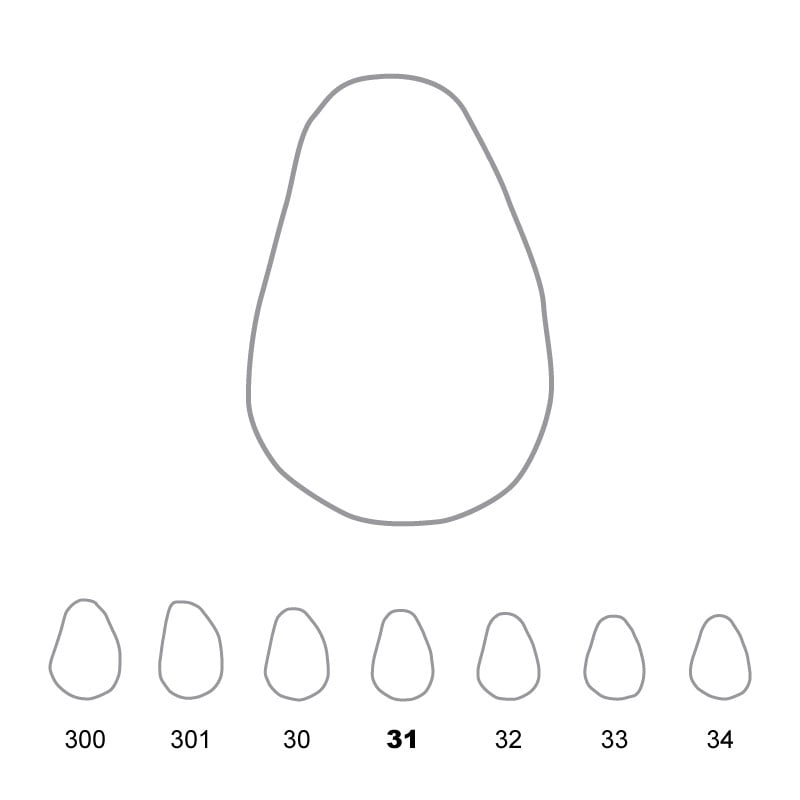 Temporary Crowns Upper Canines Right 31