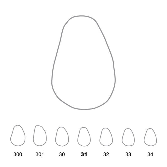 Temporary Crowns Upper Canines Right 31