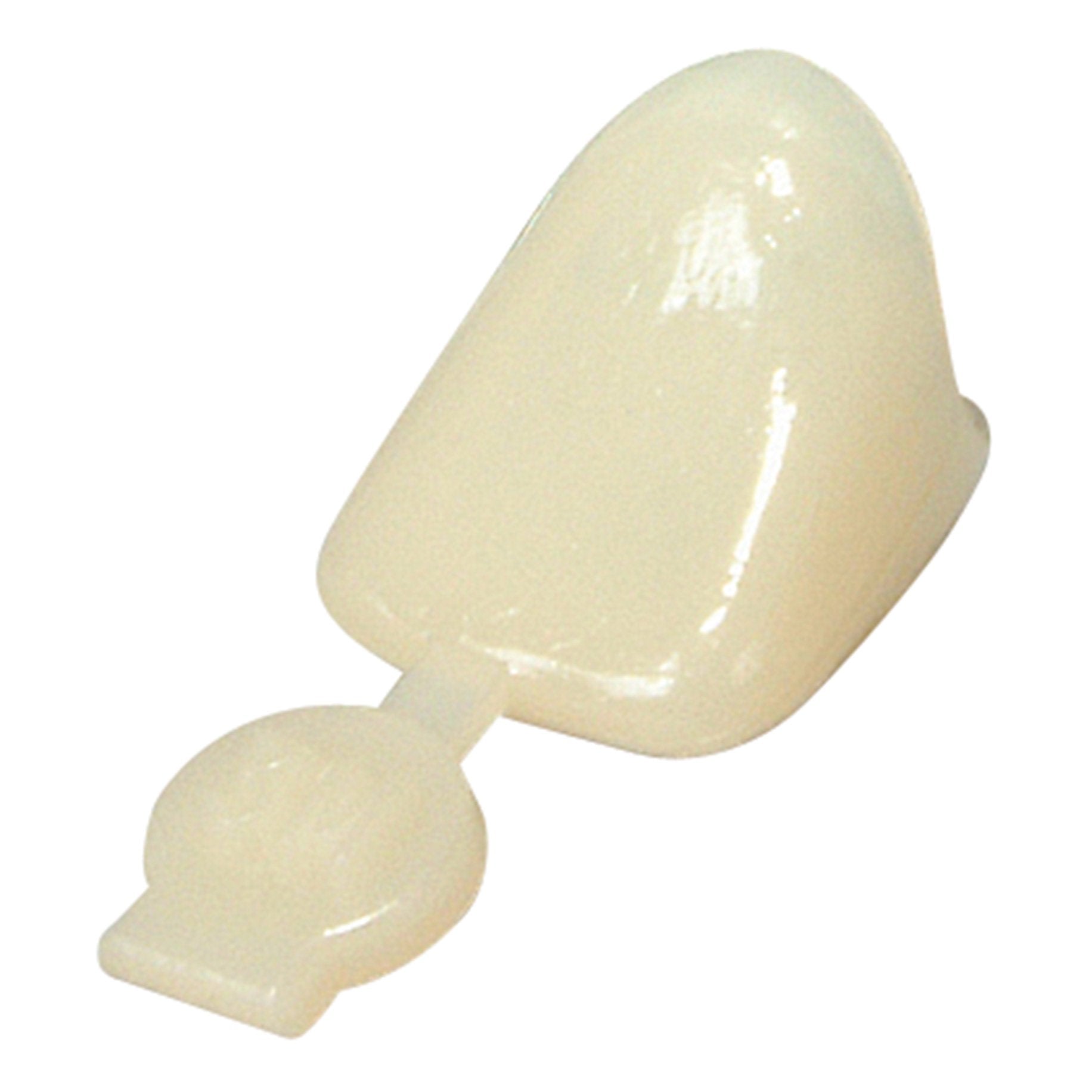Polycarbonate Crowns Bi-Cuspids 41