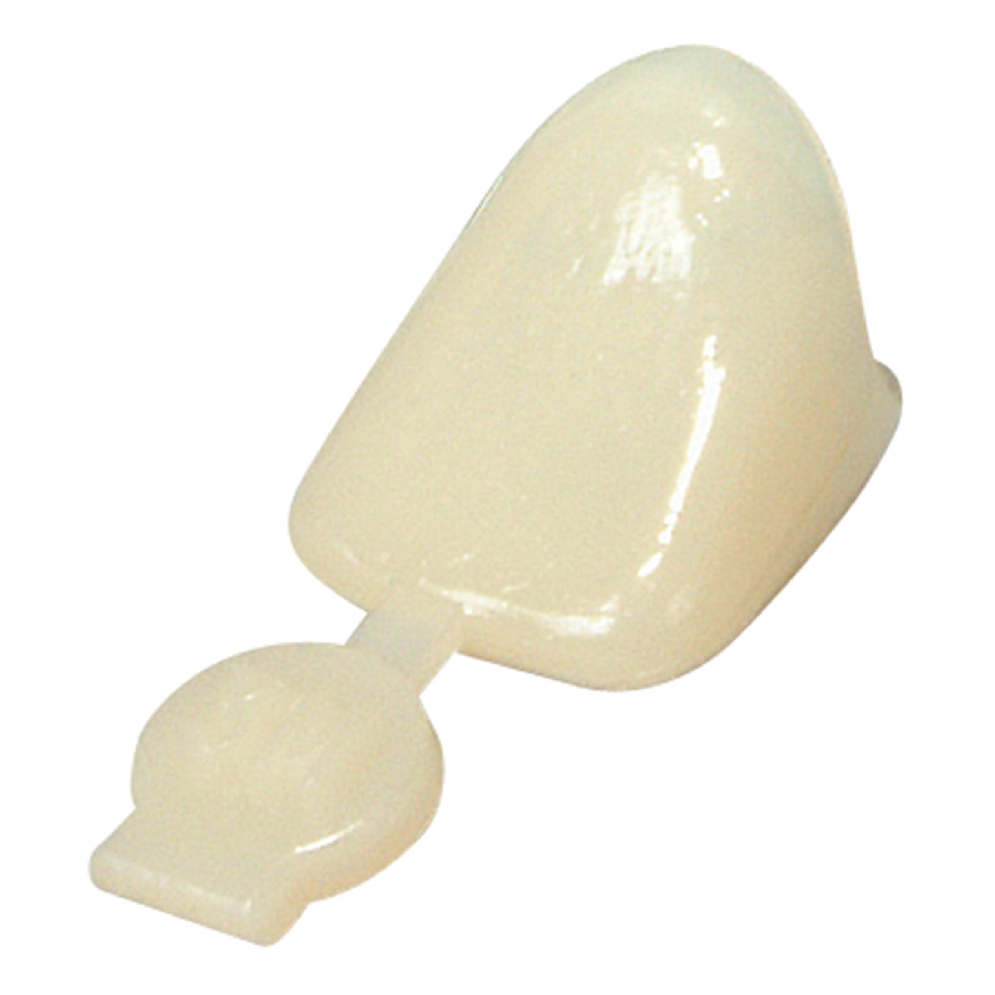 Polycarbonate Crowns Bi-Cuspids 42