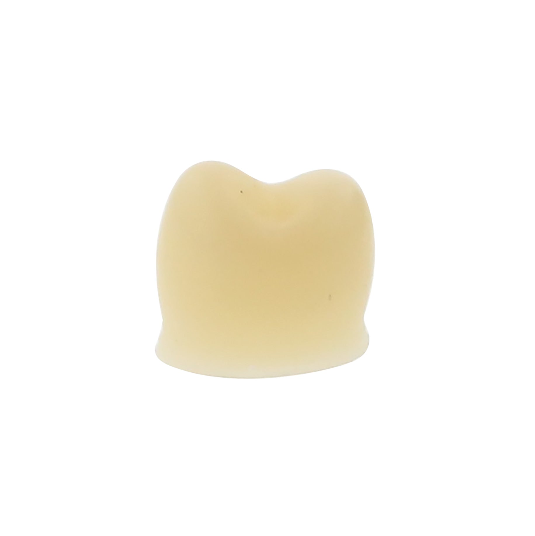 Protemp Crown Bicuspid Upper Small Kit