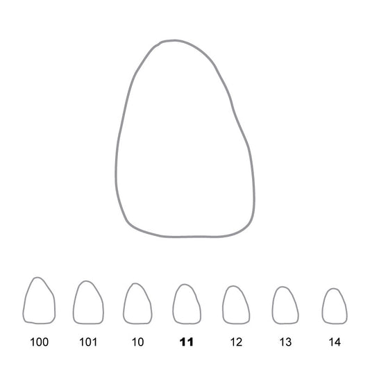 Temporary Crowns Upper Central Incisors Right 11