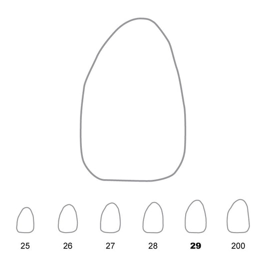 Temporary Crowns Upper Lateral Incisors Left 29