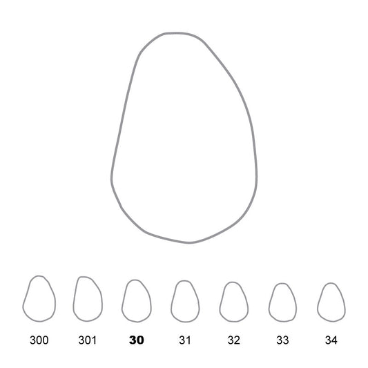 Temporary Crowns Upper Canines Right 30