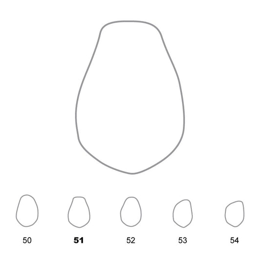 Temporary Crowns Lower Premolars 51