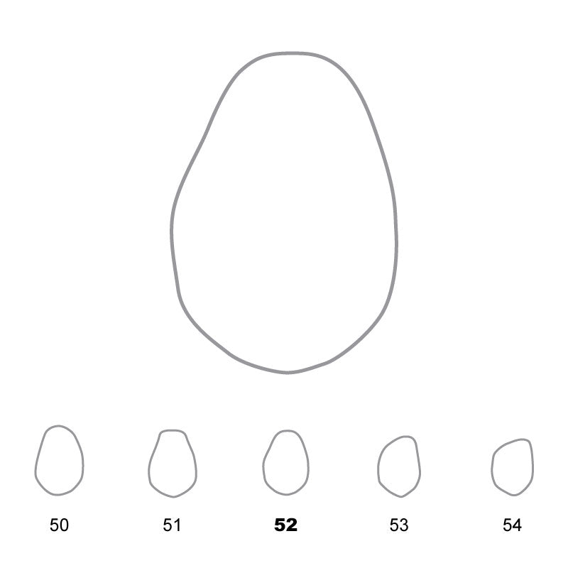 Temporary Crowns Lower Premolars 52