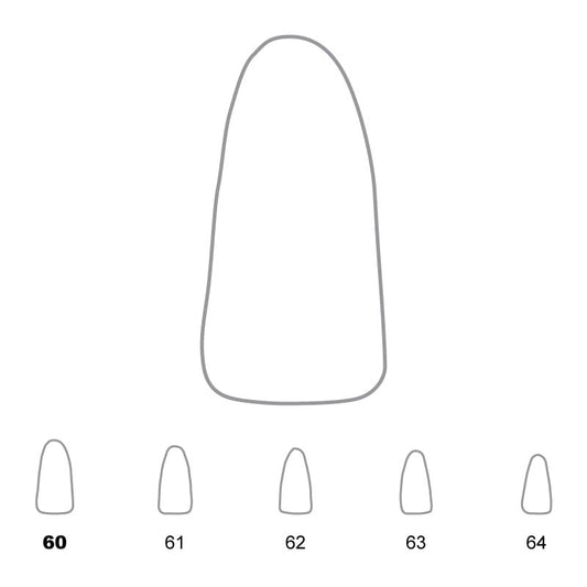 Temporary Crowns Lower Incisors 60