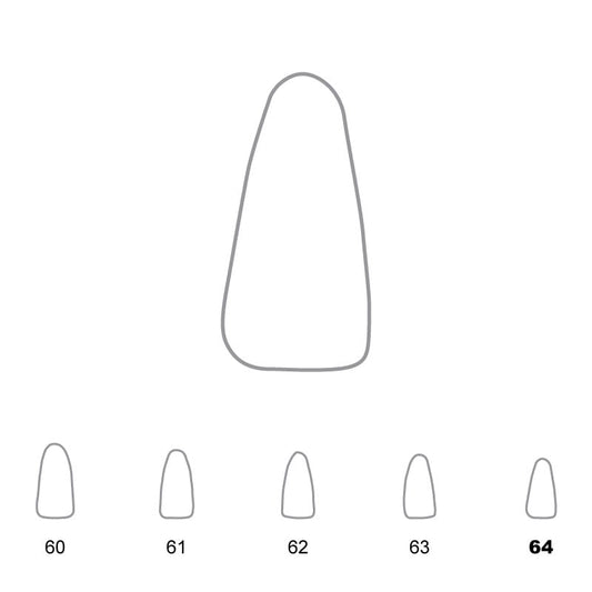 Temporary Crowns Lower Incisors 64