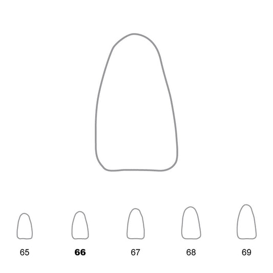 Temporary Crowns Lower Incisors 66