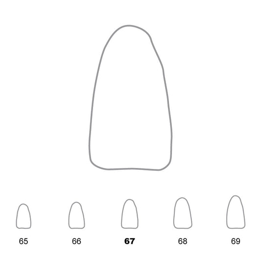 Temporary Crowns Lower Incisors 67