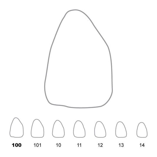Temporary Crowns Upper Central Incisors Right 100