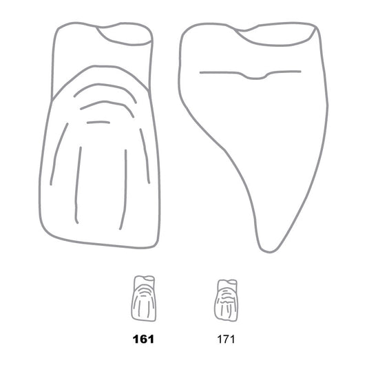Odus Pella Transparent Crown Forms Extra Large Centrals 161