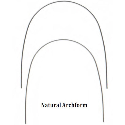 NiTi 16x22 Lower Natural