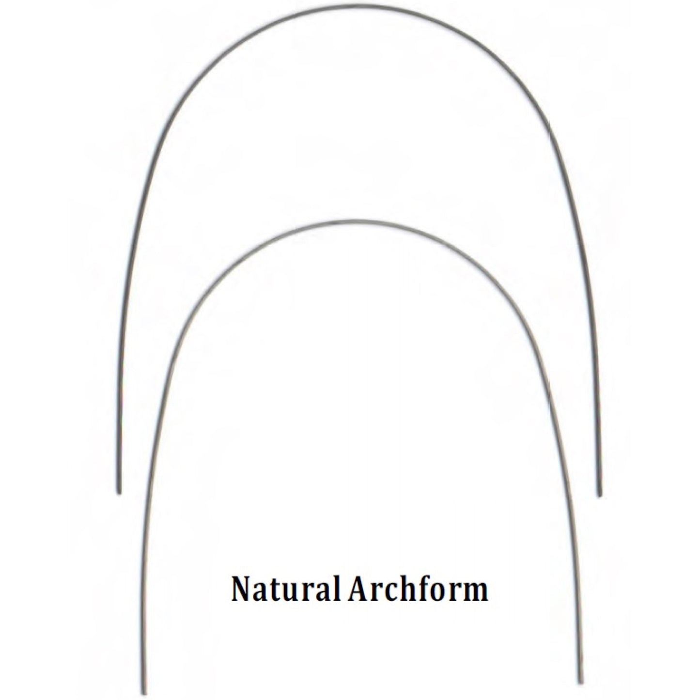 NiTi Heat-Activated 17x25 Lower Natural