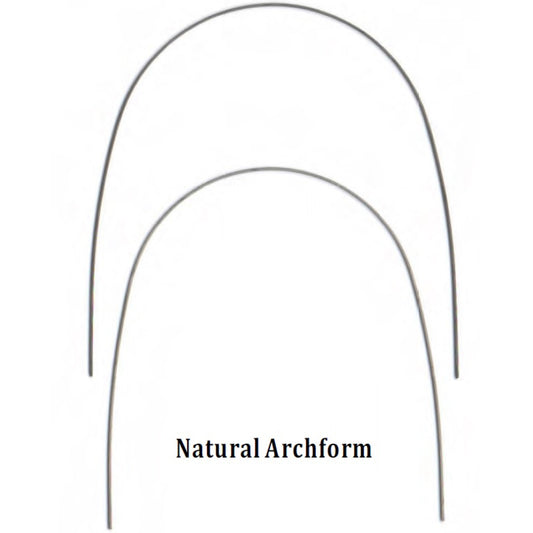 NiTi Heat-Activated 19x25 Lower Natural